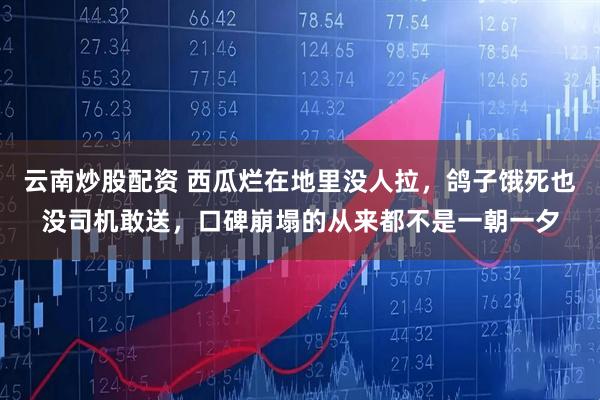 云南炒股配资 西瓜烂在地里没人拉，鸽子饿死也没司机敢送，口碑崩塌的从来都不是一朝一夕