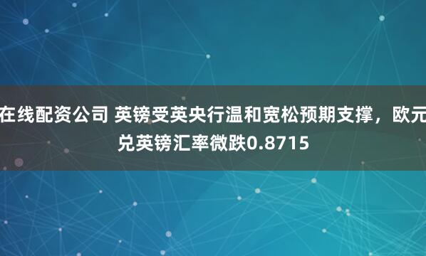 在线配资公司 英镑受英央行温和宽松预期支撑，欧元兑英镑汇率微跌0.8715